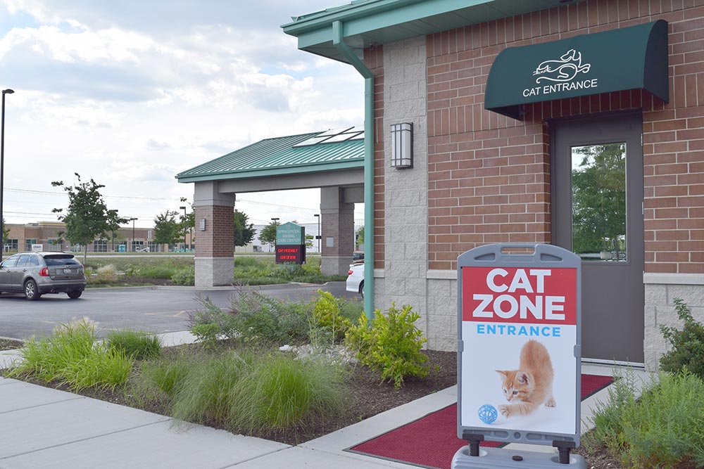 Cat-Friendly Entrance