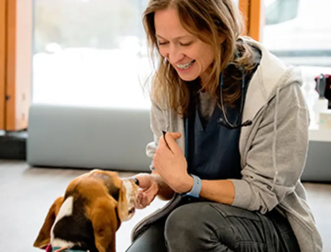Dr. Armstrong kneeling down and feeding a dog by hand Dr. Armstrong kneeling down and feeding a dog by hand