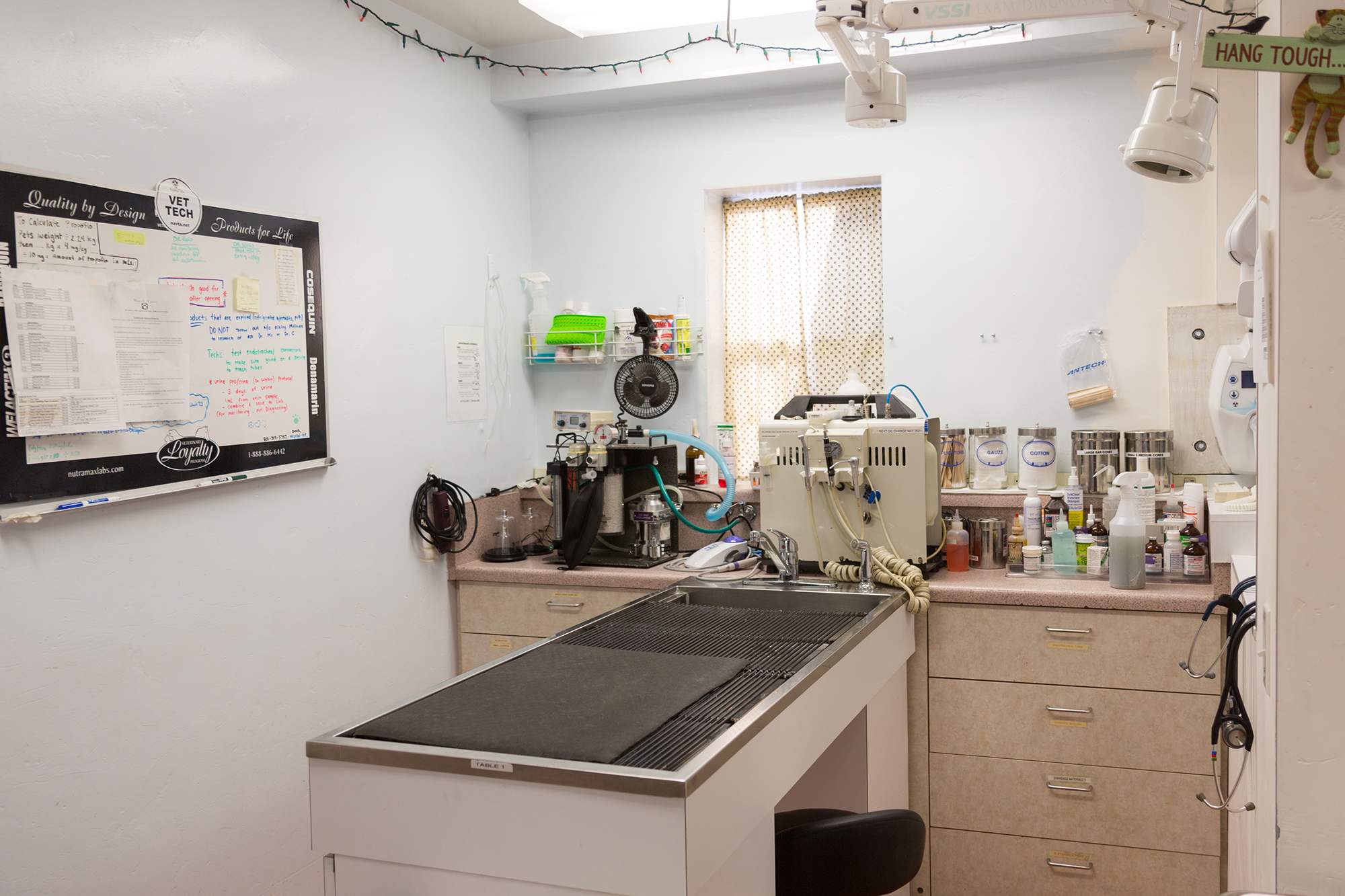 Treatment room at White's Pet Hospital