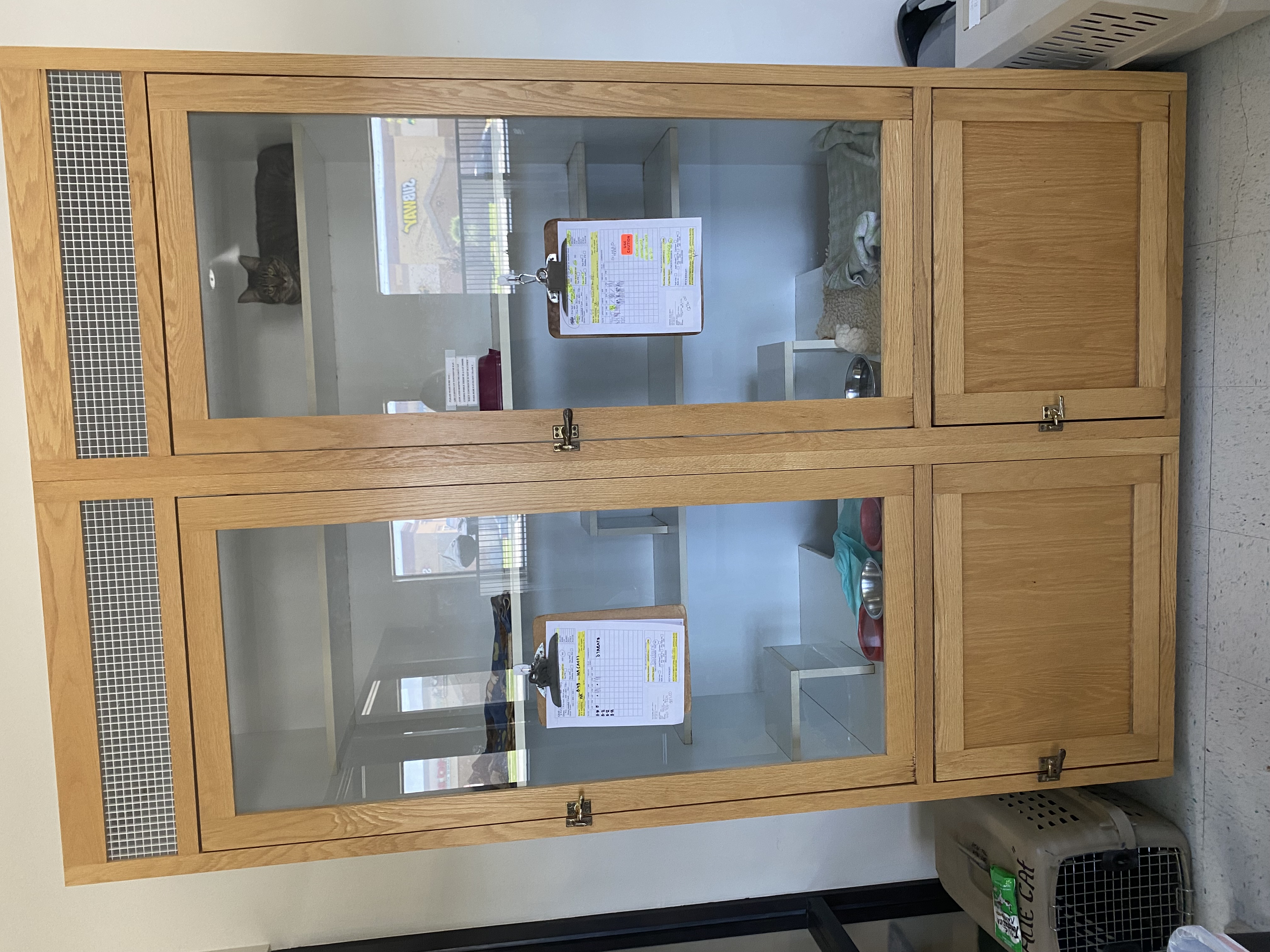 Cat sitting inside of a wooden cabinet.
