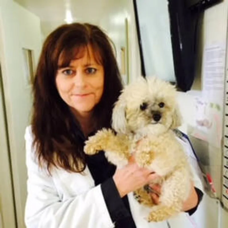 Dr. Kubacki staff photo Dr. Kubacki staff photo