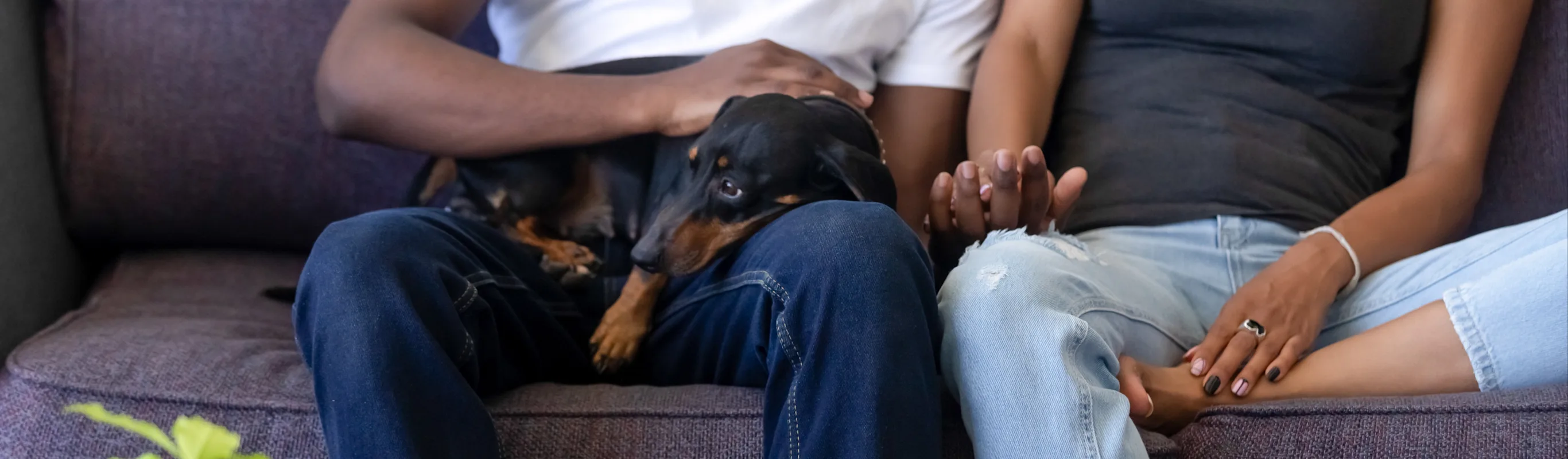 Couple on a couch with a dog