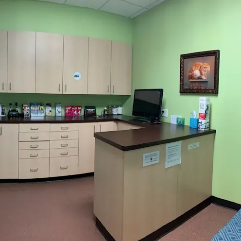 Feline Only Room Feline Only Room