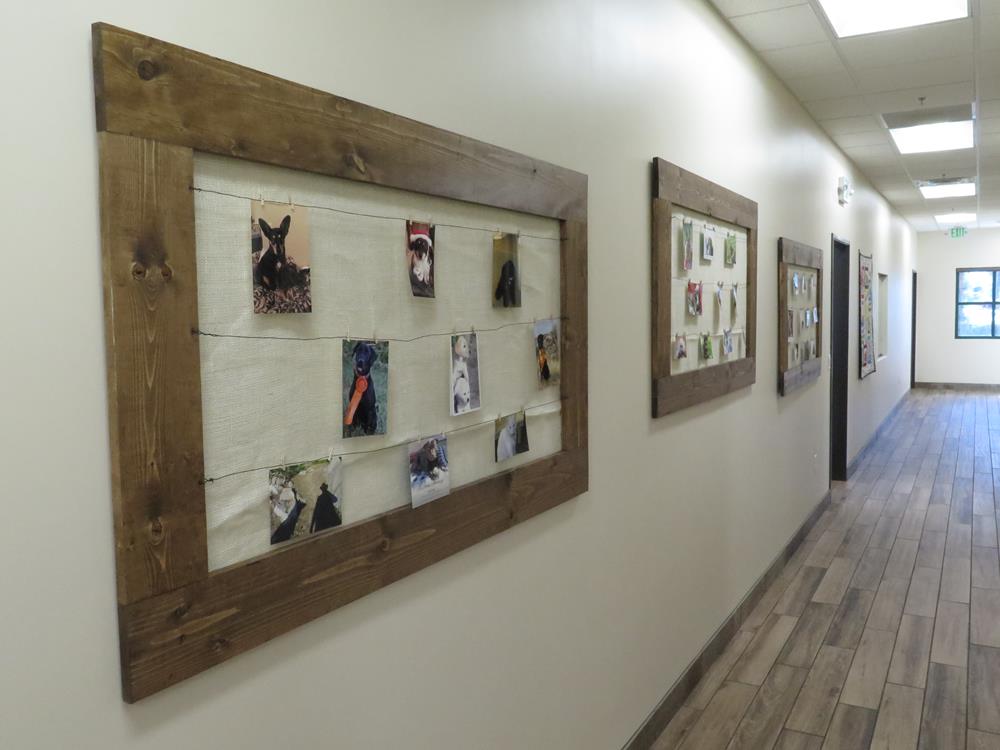 A hallway showcasing different pictures of the patients they've served. 