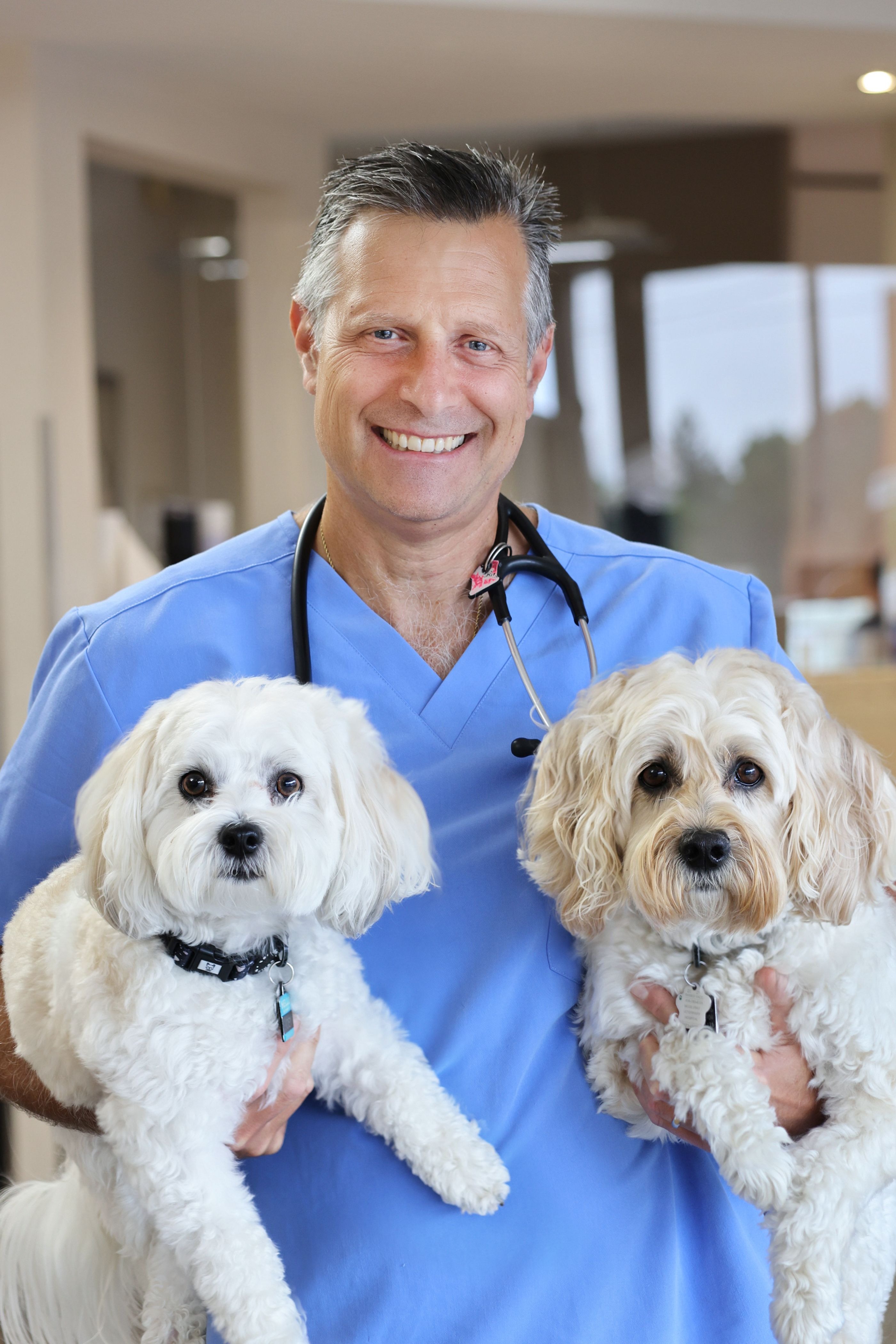 Emergency vet best sale north york