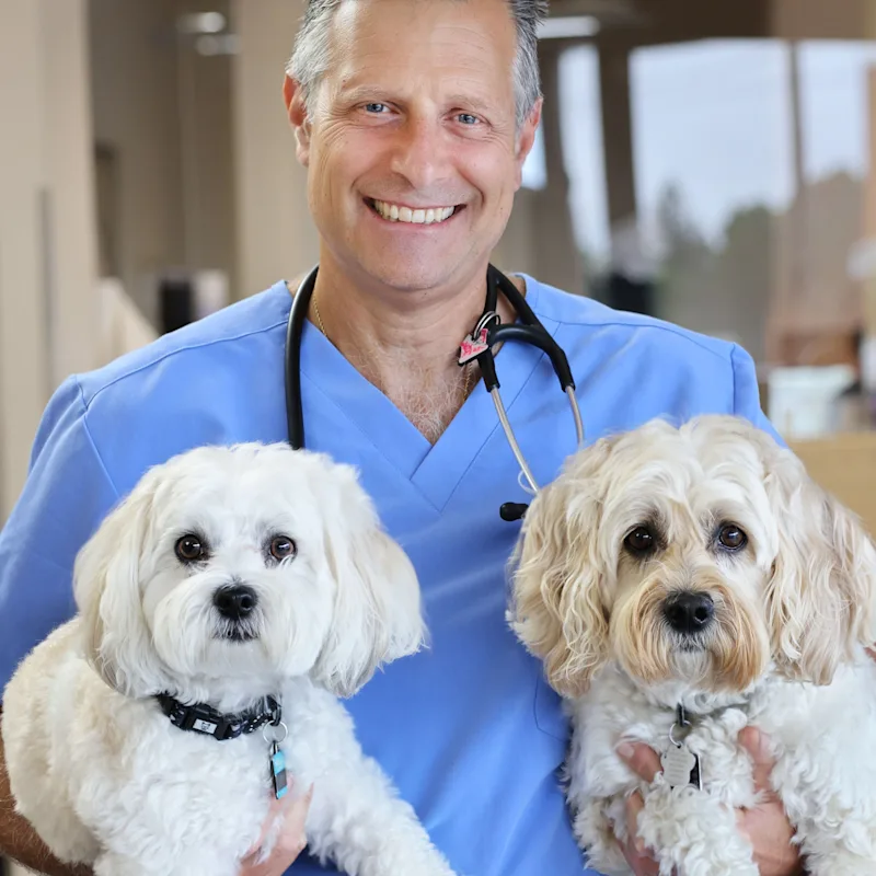 Darren Marks from McGilvray Veterinary Hospital Darren Marks from McGilvray Veterinary Hospital