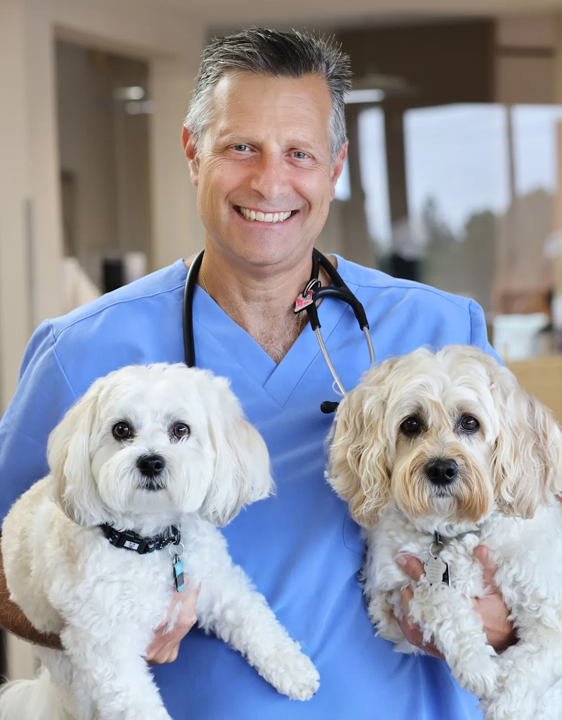 Darren Marks from McGilvray Veterinary Hospital Darren Marks from McGilvray Veterinary Hospital
