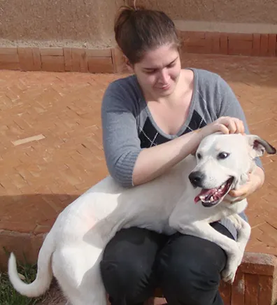 Chris sitting on the ground petting a dog who is perched over her lap Chris sitting on the ground petting a dog who is perched over her lap