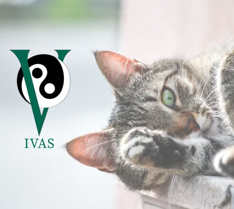 IVAS