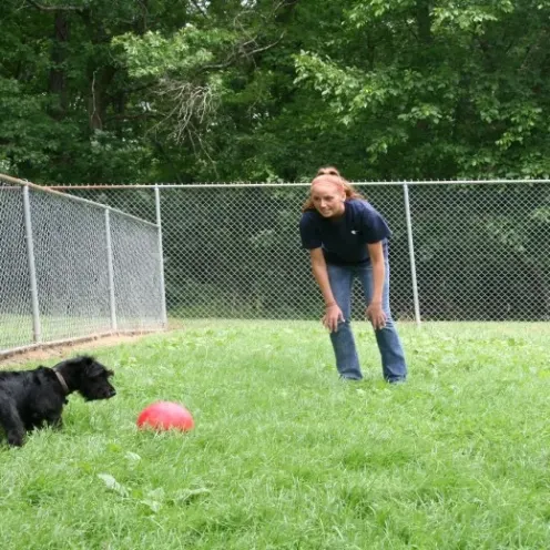 Chantilly Location - Play Area Chantilly Location - Play Area