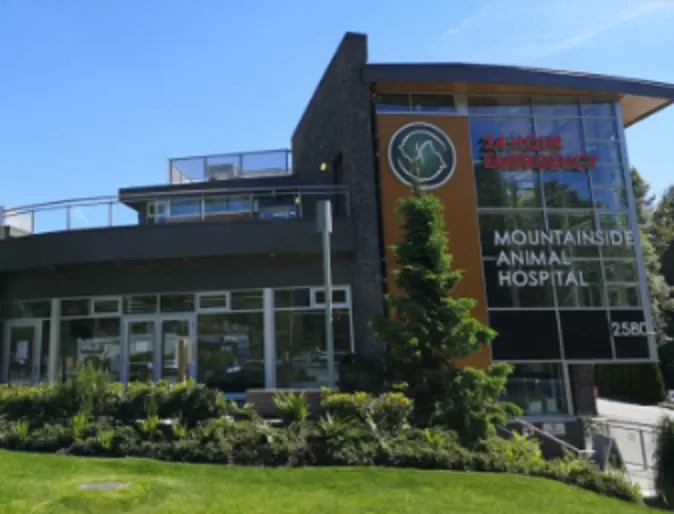Mountainside Animal Hospital Exterior Mountainside Animal Hospital Exterior