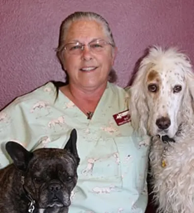 Sue smiling with two dogs Sue smiling with two dogs