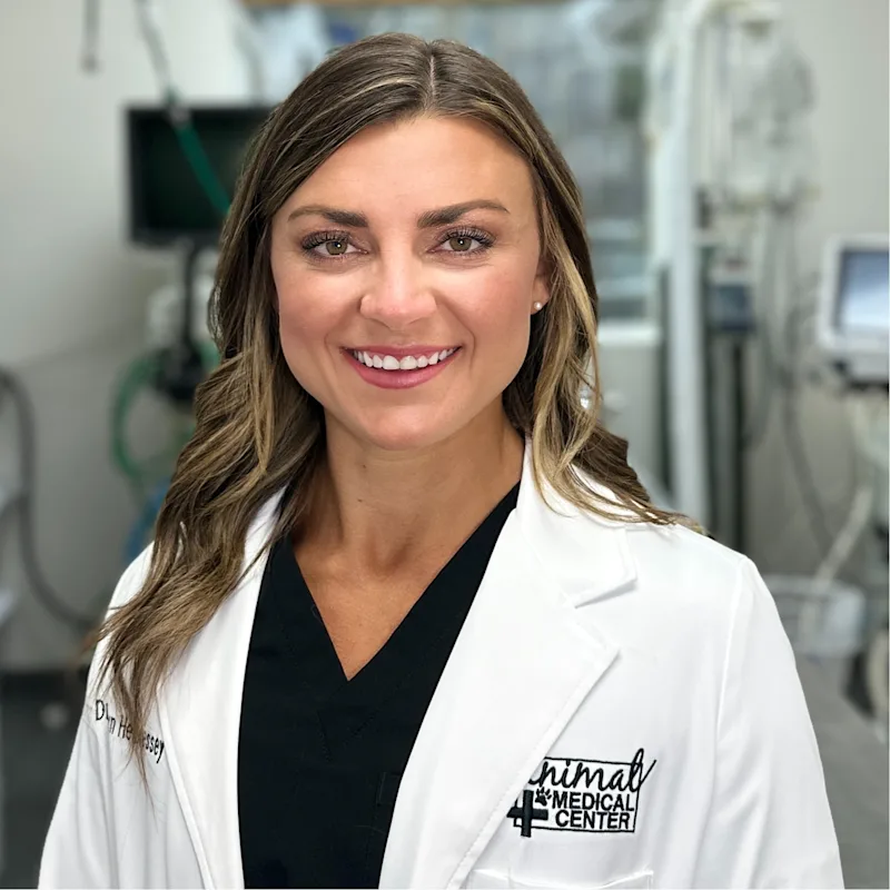 Animal Medical Center of Hattiesburg 0543 - Dr. Kaitlyn Hennessey Animal Medical Center of Hattiesburg 0543 - Dr. Kaitlyn Hennessey