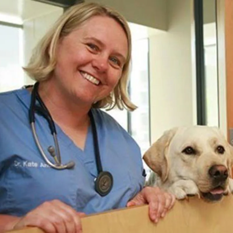 Kate Andreae, DVM Kate Andreae, DVM