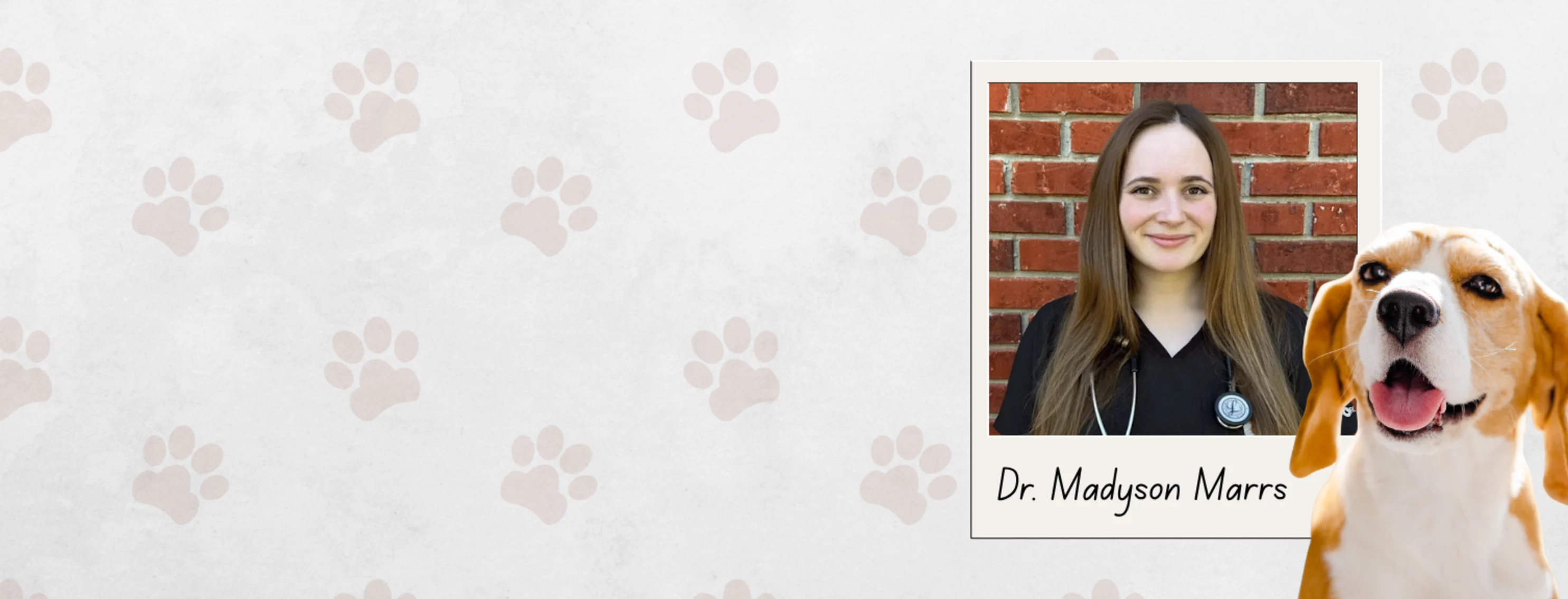Welcome Dr. Marrs! Welcome Dr. Marrs!