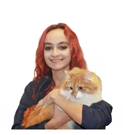 Julia Swezy Julia Swezy