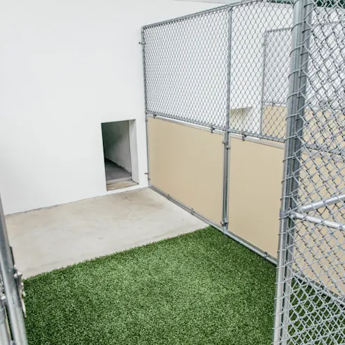 Pompano Pet Lodge Dog Kennel Pompano Pet Lodge Dog Kennel
