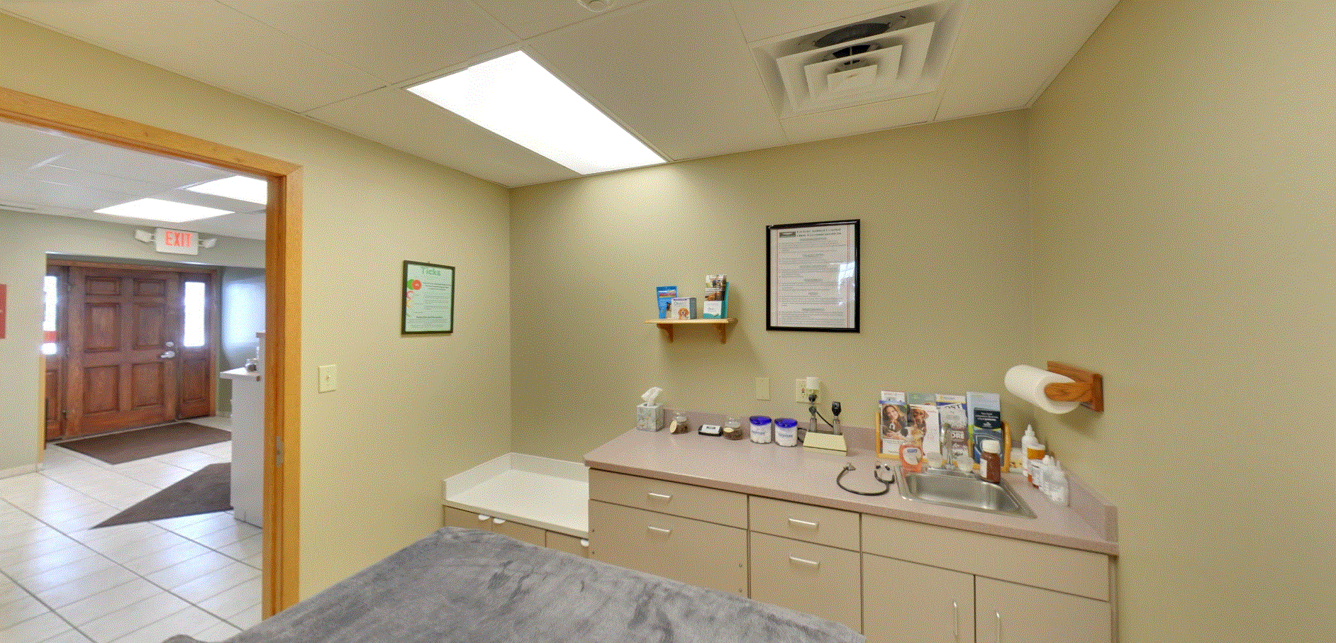 Peotone Animal Hospital Exam Room 3 which consists of checkup table with a blanket on top of it, a small sink, counter that has medical equipment and supplies