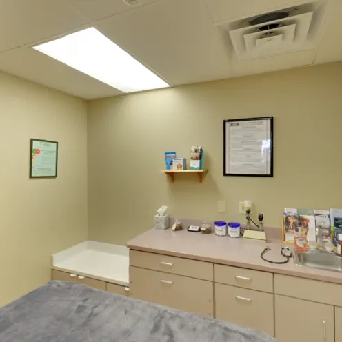 Peotone Animal Hospital Exam Room 3 which consists of checkup table with a blanket on top of it, a small sink, counter that has medical equipment and supplies