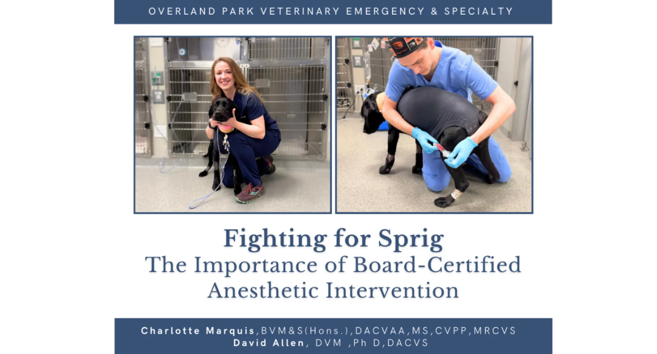 Fighting for Sprig: The Importance of Board-Certified Anesthetic Intervention Fighting for Sprig: The Importance of Board-Certified Anesthetic Intervention