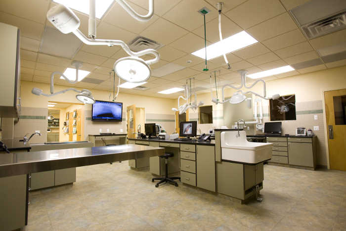 An exam room with several stations for veterinary services
