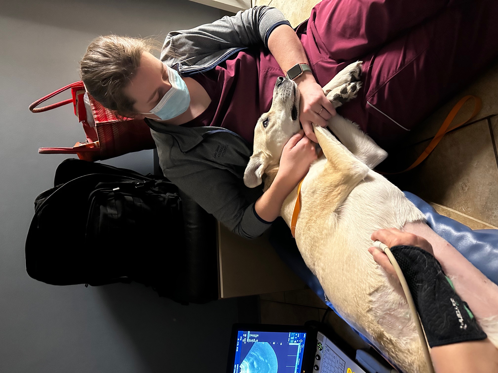 Sonia holding for an ultrasound