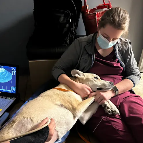 Sonia holding for an ultrasound Sonia holding for an ultrasound