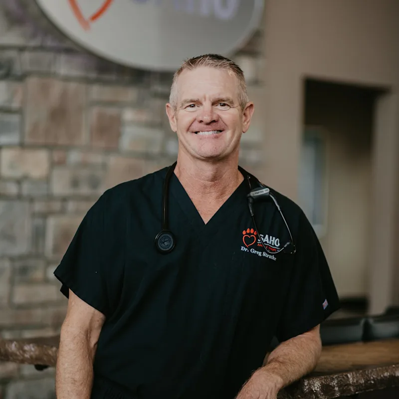 Greg Strathe Greg Strathe