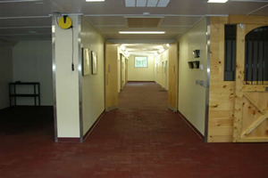 A nine foot wide aisle acts as an indoor lameness examination area.