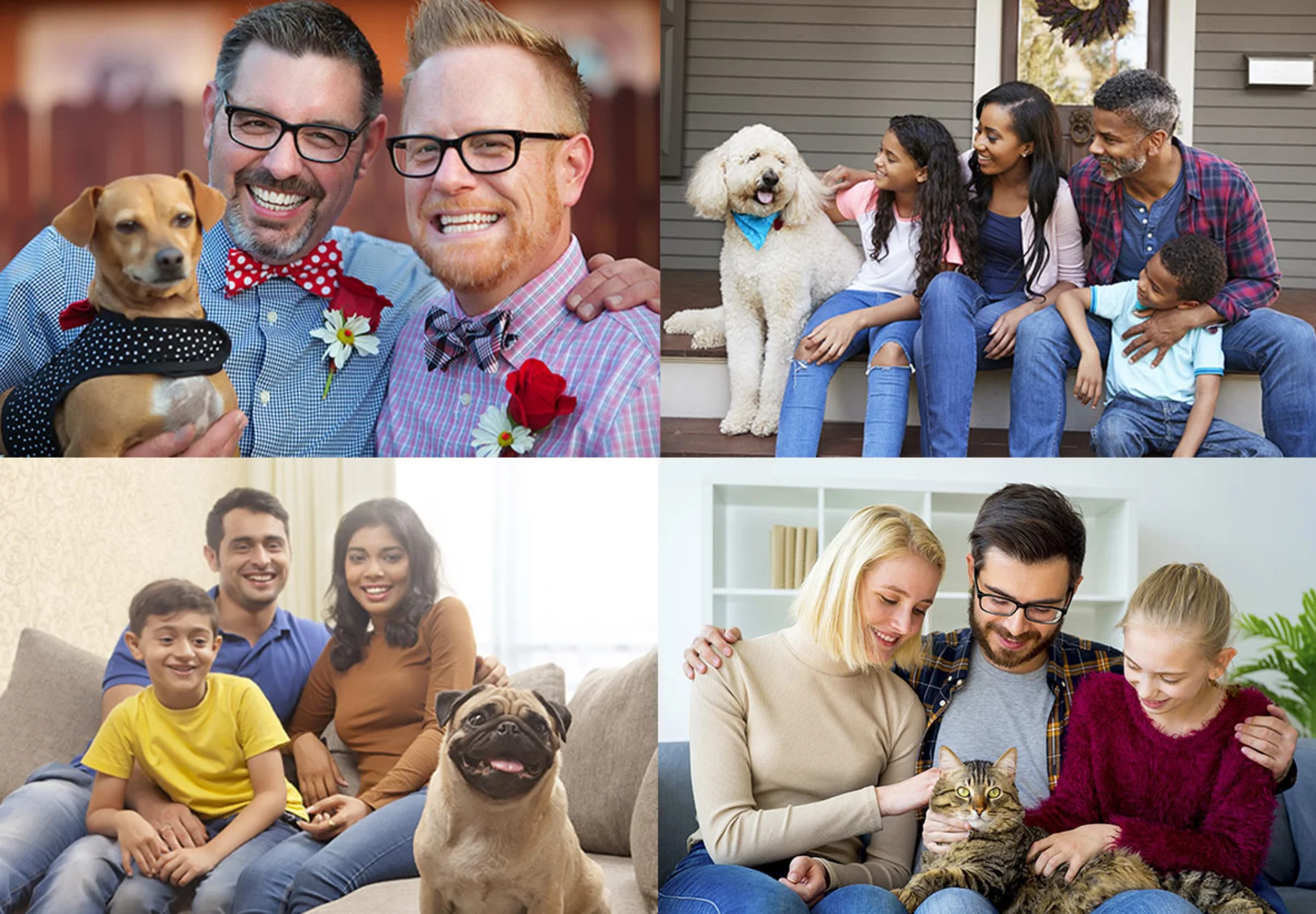 4 families sitting with their pets