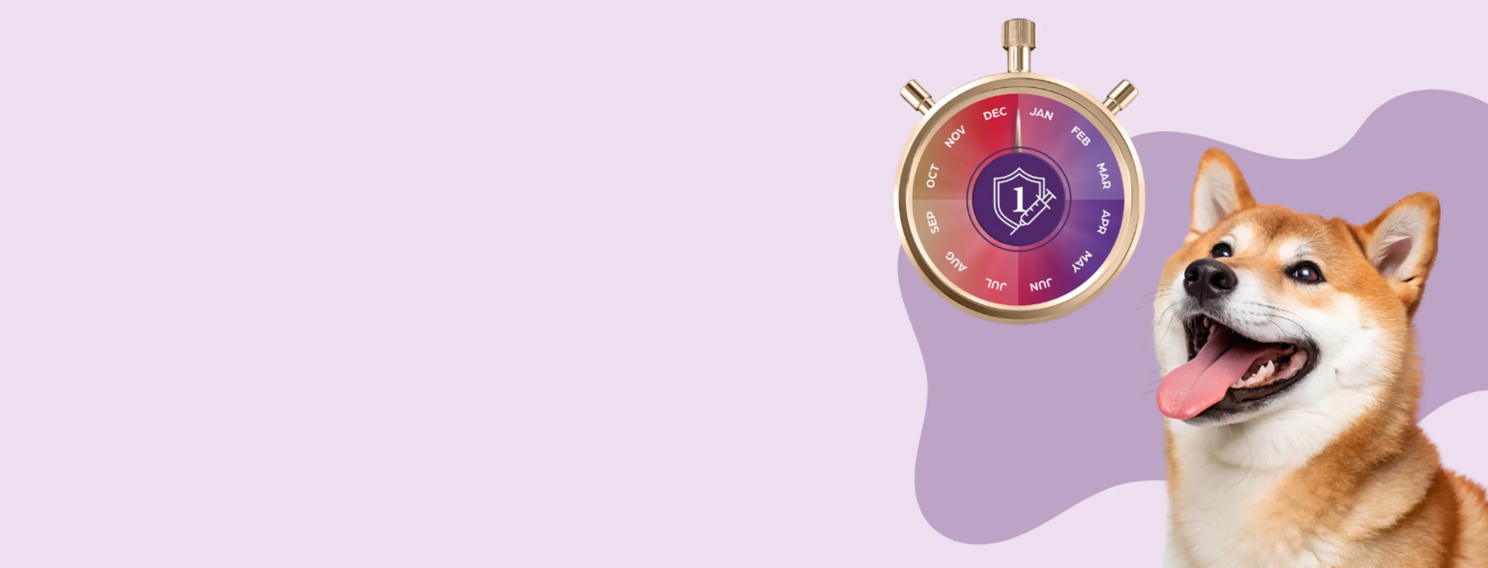 Introducing Bravecto Quantum Introducing Bravecto Quantum