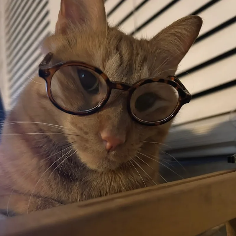 Hank Hank