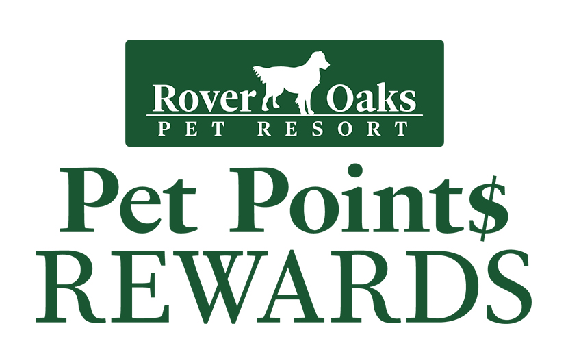 rover oaks pet resort reviews