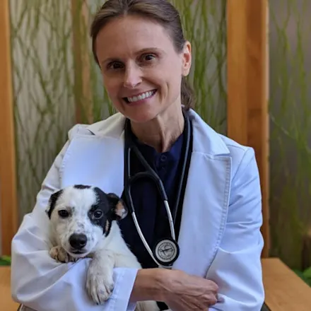 Our Animal Hospital Staff | Springbrook Animal Care Center