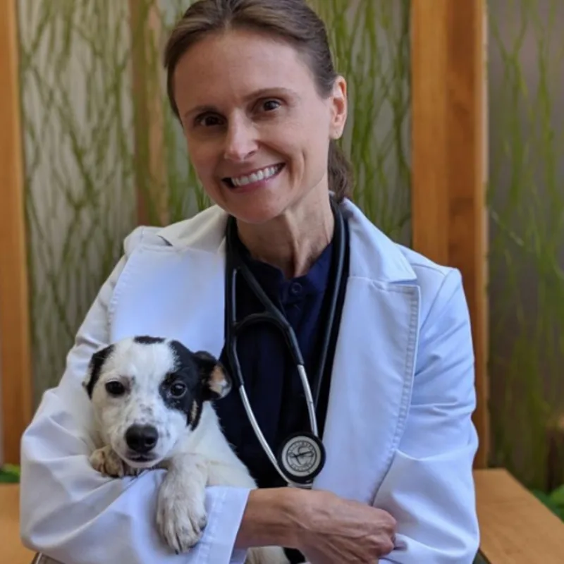 Dr. Laura Crossan Dr. Laura Crossan