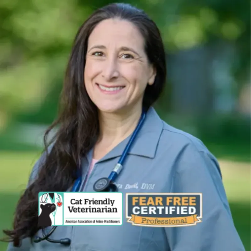 Dr. Cora David at Pruyn Veterinary Hospital Dr. Cora David at Pruyn Veterinary Hospital