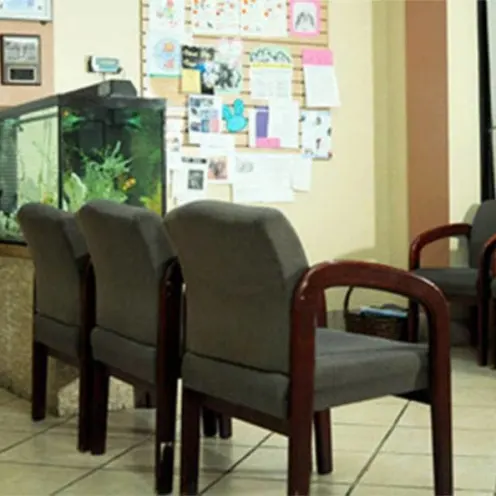 ABQ Petcare Hospital Waiting Room