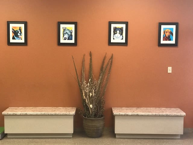 Waiting Area at Stonecrest Animal Hospital