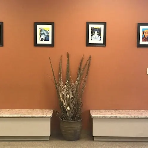 Waiting Area at Stonecrest Animal Hospital Waiting Area at Stonecrest Animal Hospital