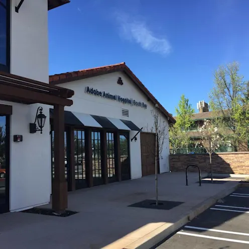 Exterior of Adobe Animal Hospital South Bay Exterior of Adobe Animal Hospital South Bay