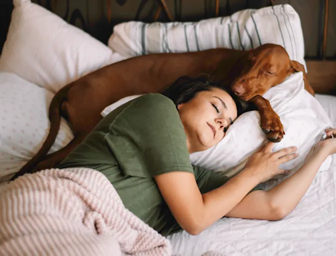 A woman and her dog sleeping in bed on top of pillows A woman and her dog sleeping in bed on top of pillows