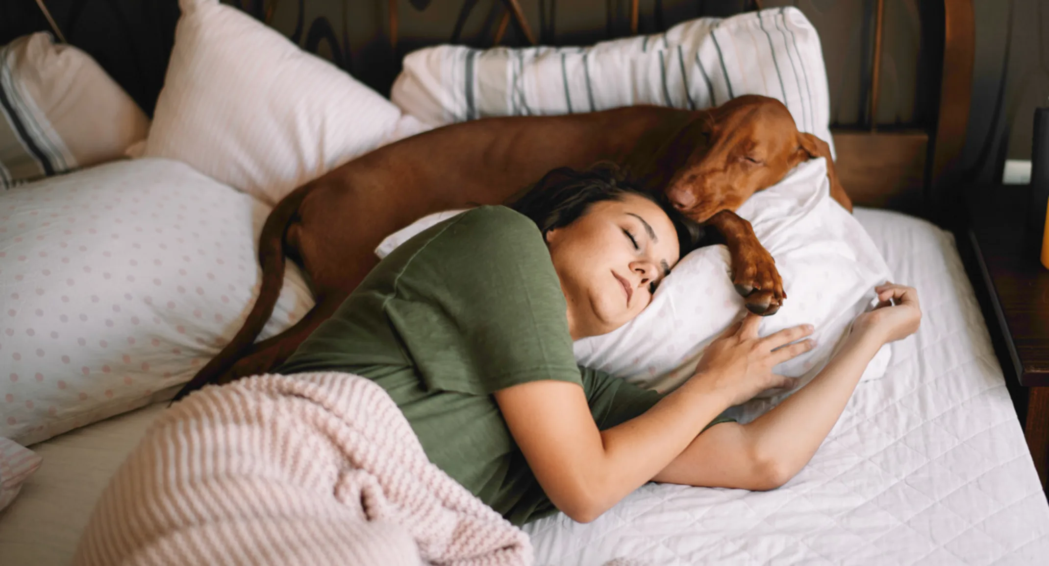 A woman and her dog sleeping in bed on top of pillows A woman and her dog sleeping in bed on top of pillows