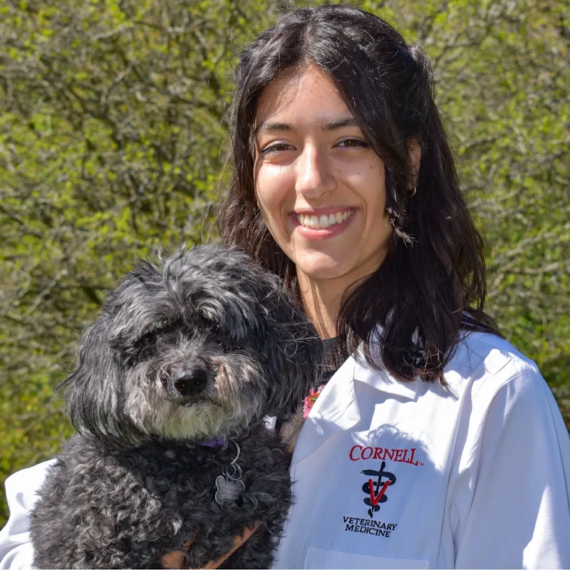 Ariana Ferraro Ariana Ferraro