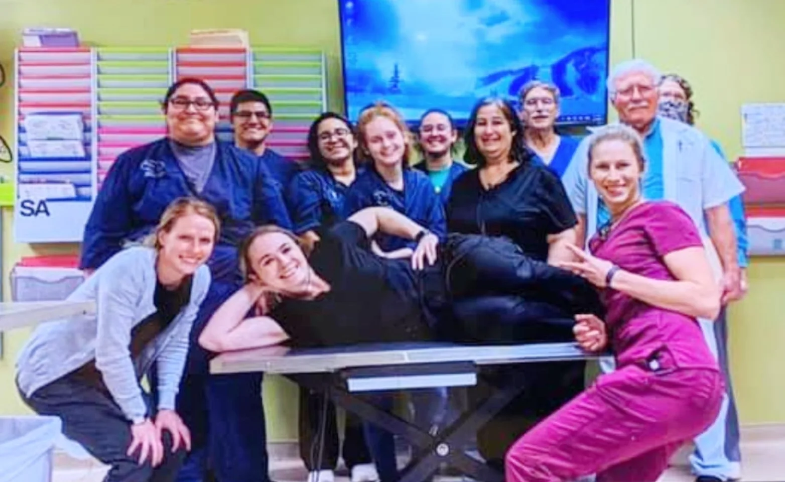 Stuebner Airline Veterinary Hospital - Team Photo Stuebner Airline Veterinary Hospital - Team Photo
