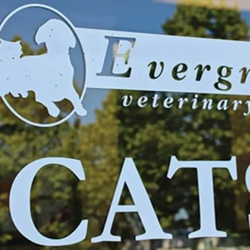 Evergreen Vet Clinic logo and cats sign on glass Evergreen Vet Clinic logo and cats sign on glass