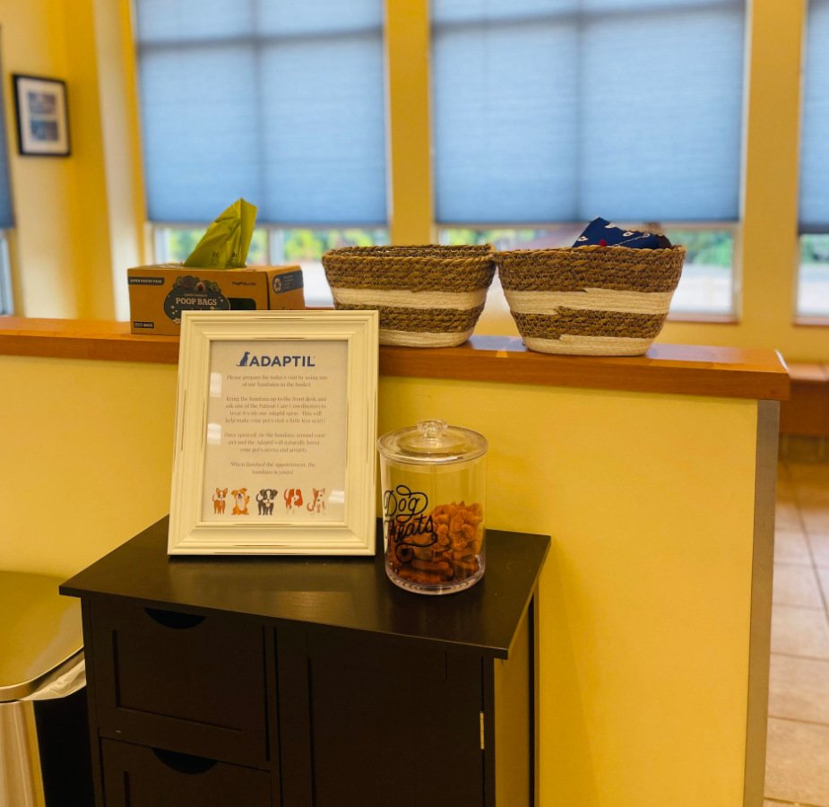 Huffard Lobby and Pet Treats