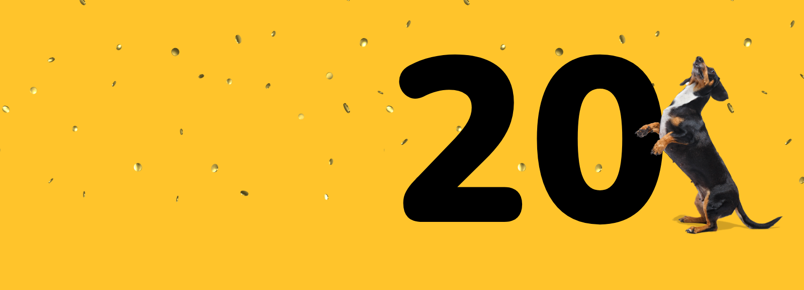 Dog Celebrating 20 years