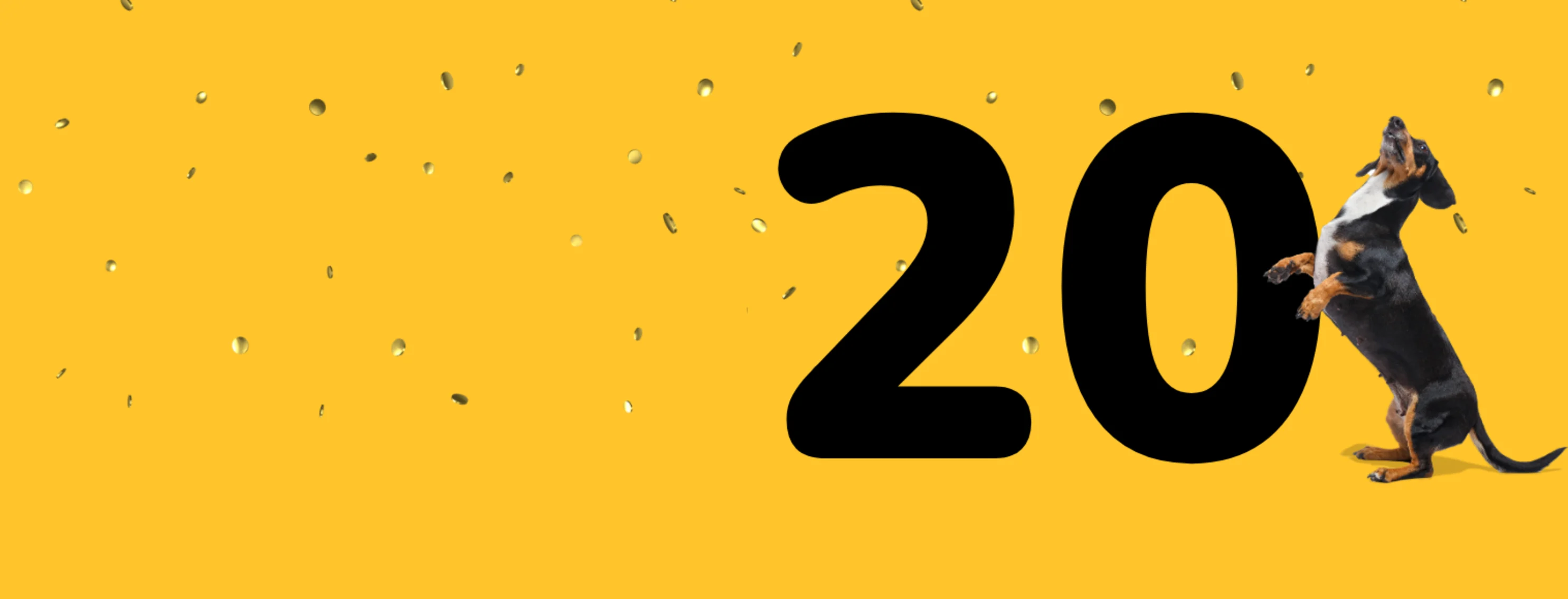 Dog Celebrating 20 years Dog Celebrating 20 years