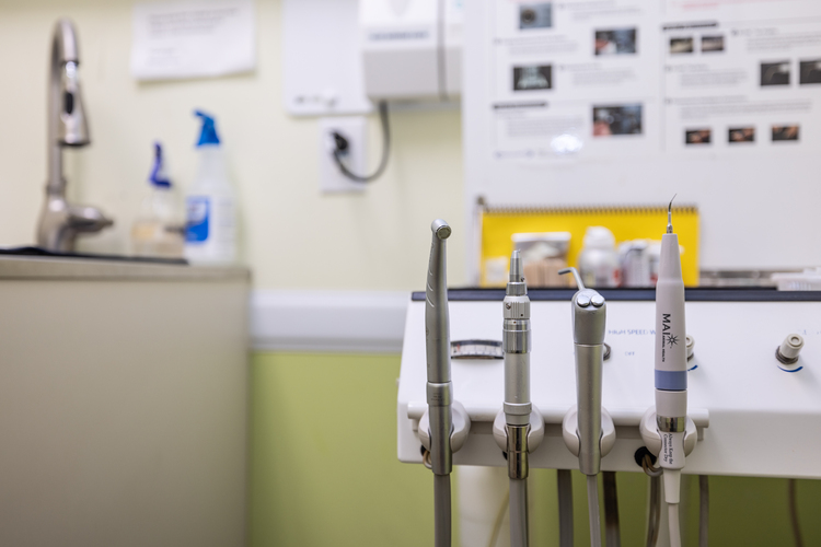 Veterinary Equipment