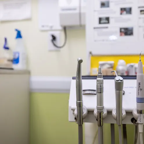 Veterinary Equipment Veterinary Equipment